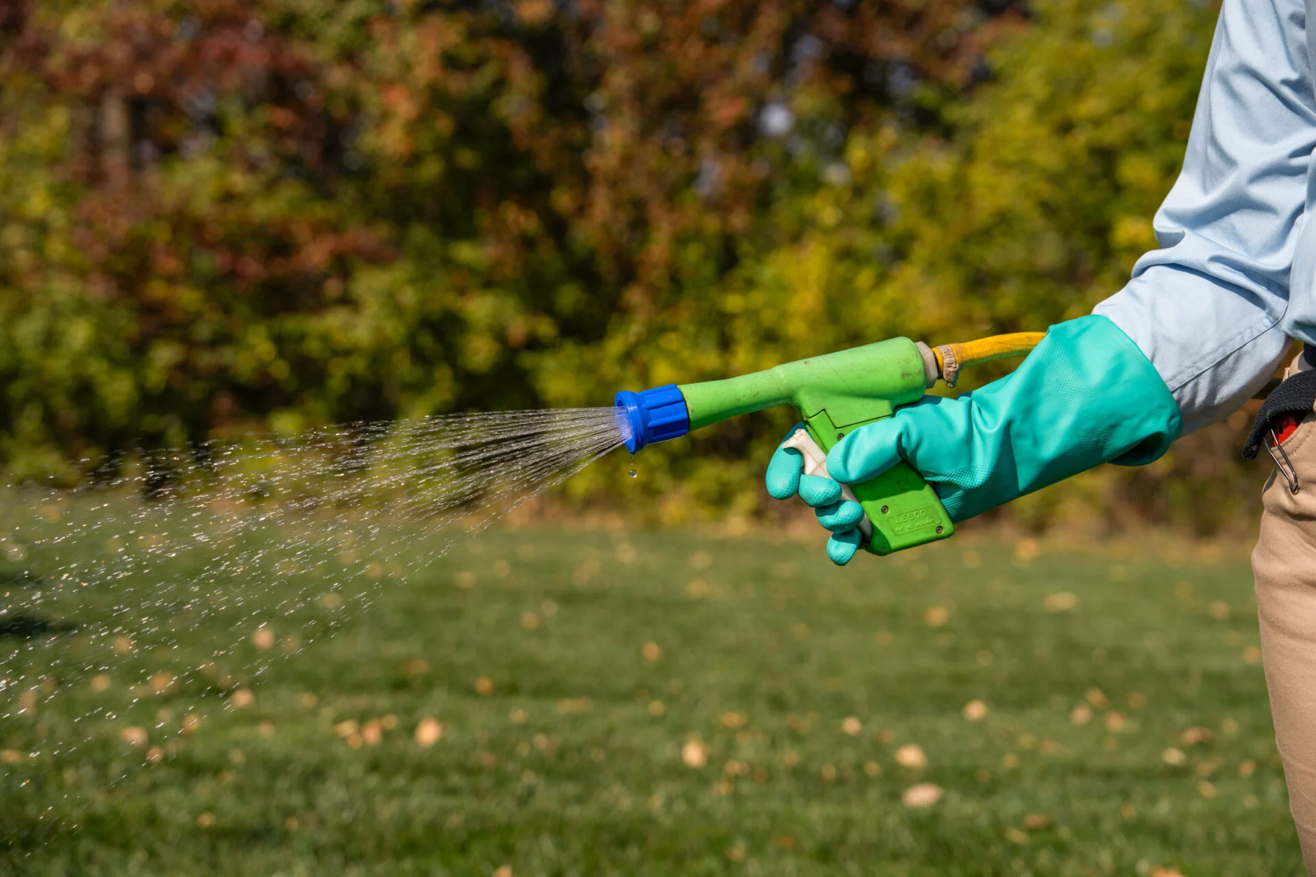 Hand touching healthy green lawn grass