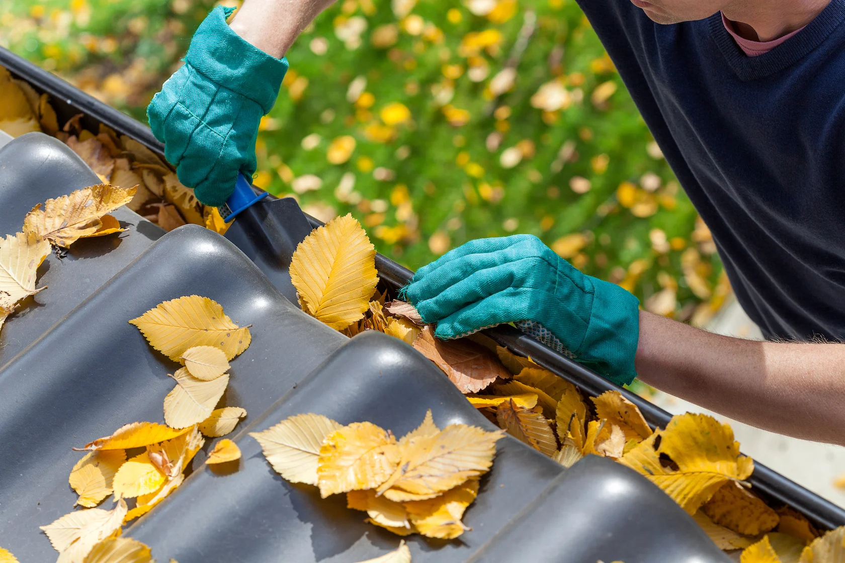 Comprehensive Leaf Cleanup
