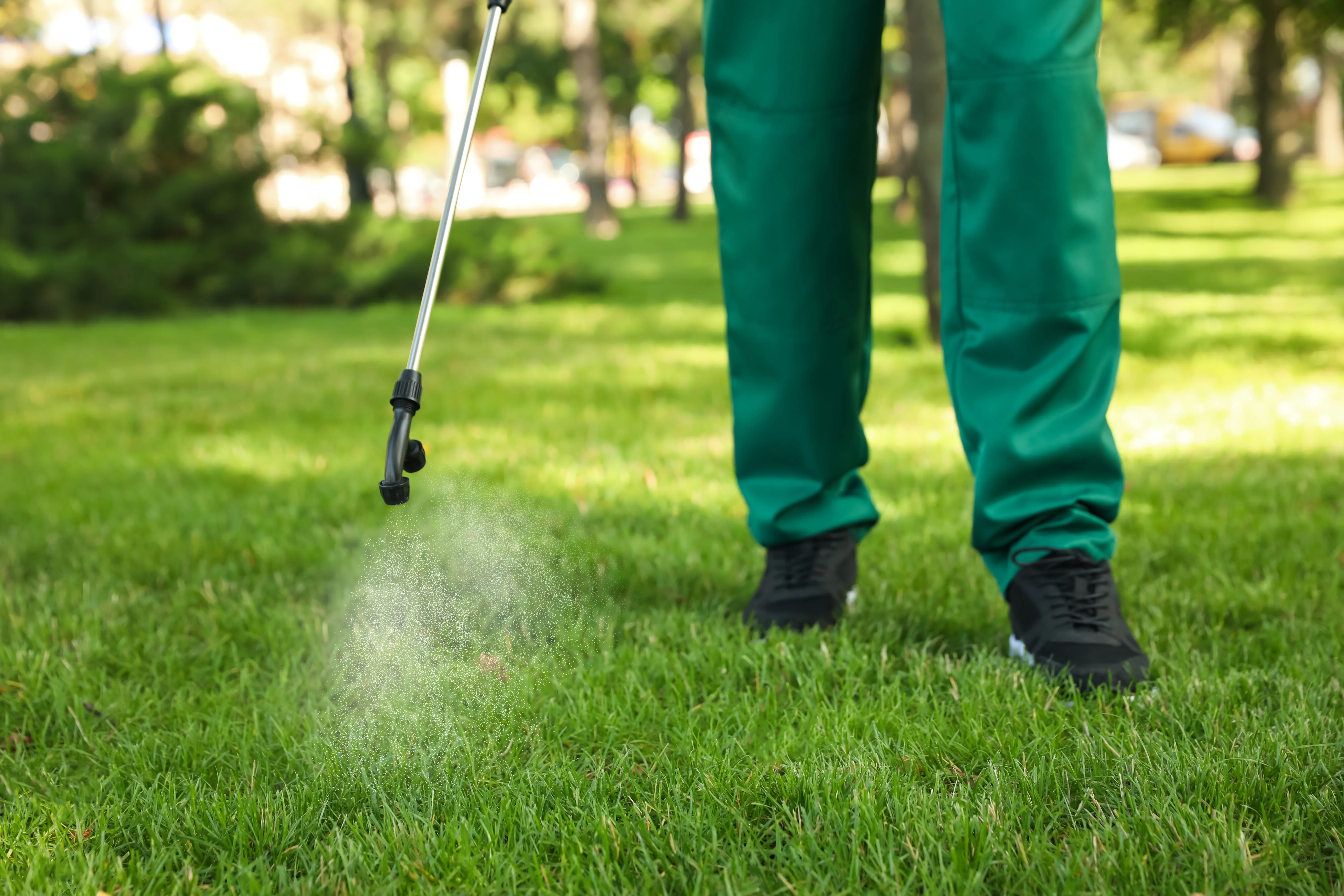 Person spraying lawn for weed control