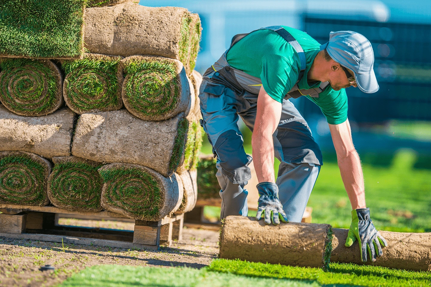 sod and weed installation
