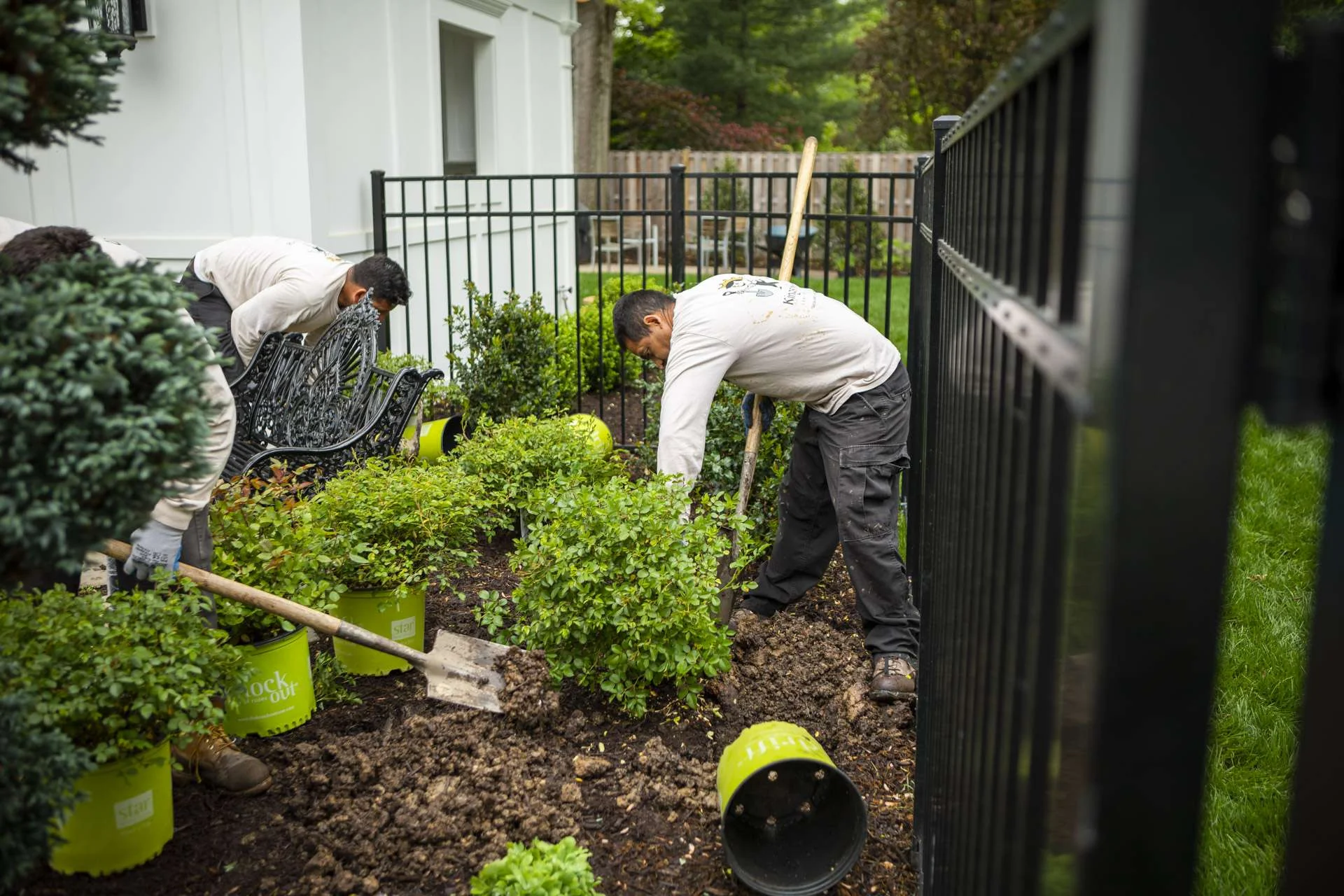 planting installation