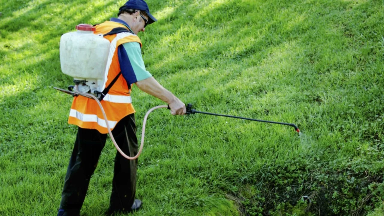 Worker fertilizing green lawn