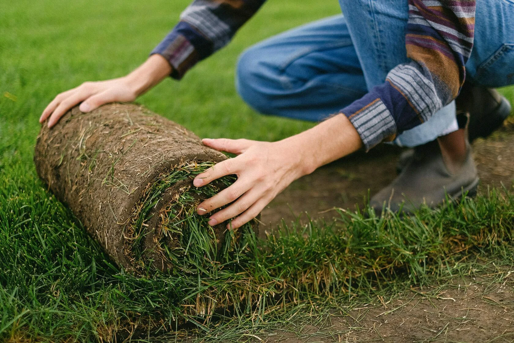 Worker unrolling turf on soil